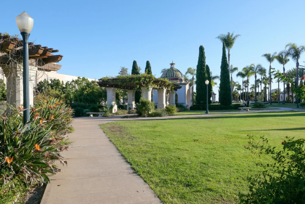 Landscape Renovation in Spring Meadows